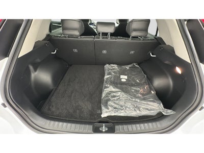 2024 Kia Niro EV Wind