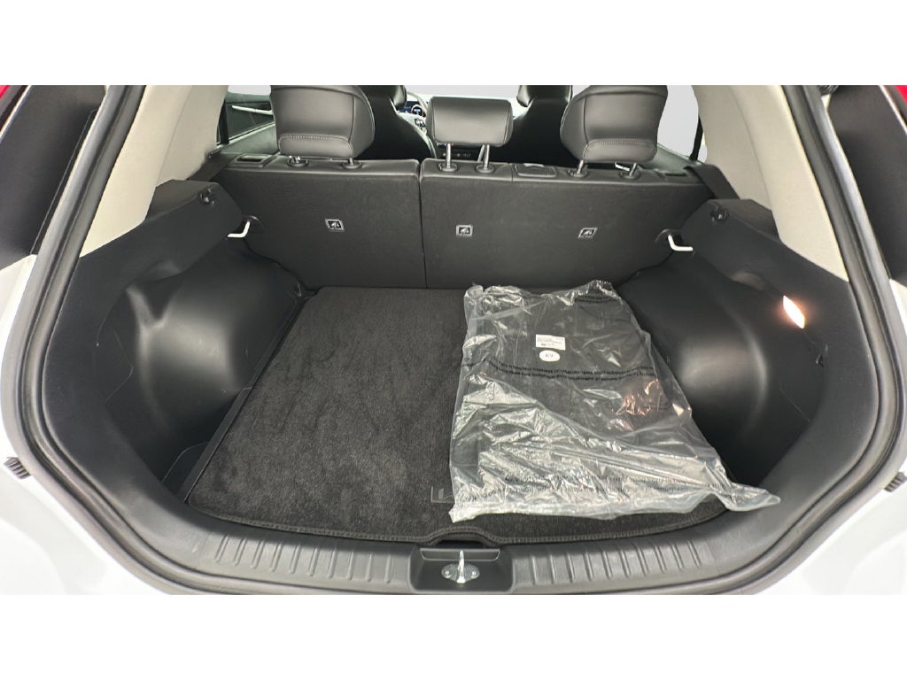 2024 Kia Niro EV Wind