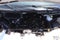 2024 Ford Transit 350 XLT