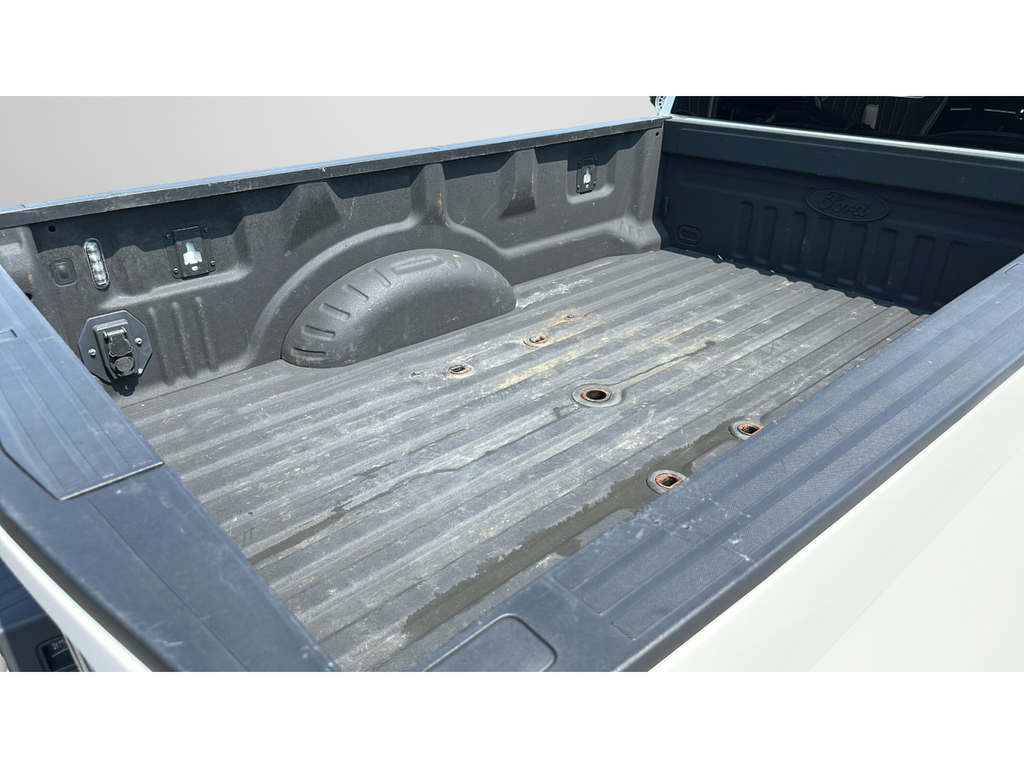 2021 Ford Super Duty F-450 Platinum DRW