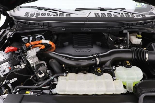 2023 Ford F-150 Base