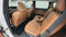 2024 INFINITI QX60 Sensory
