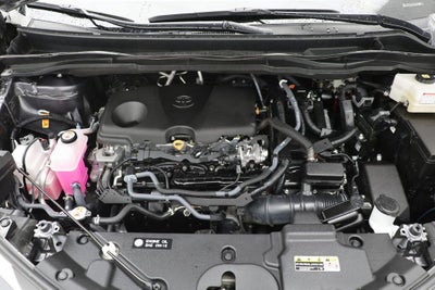 2025 Toyota Sienna LE 8 Passenger