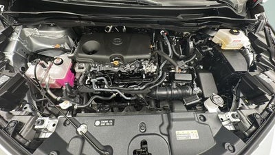 2025 Toyota Sienna XLE 8 Passenger