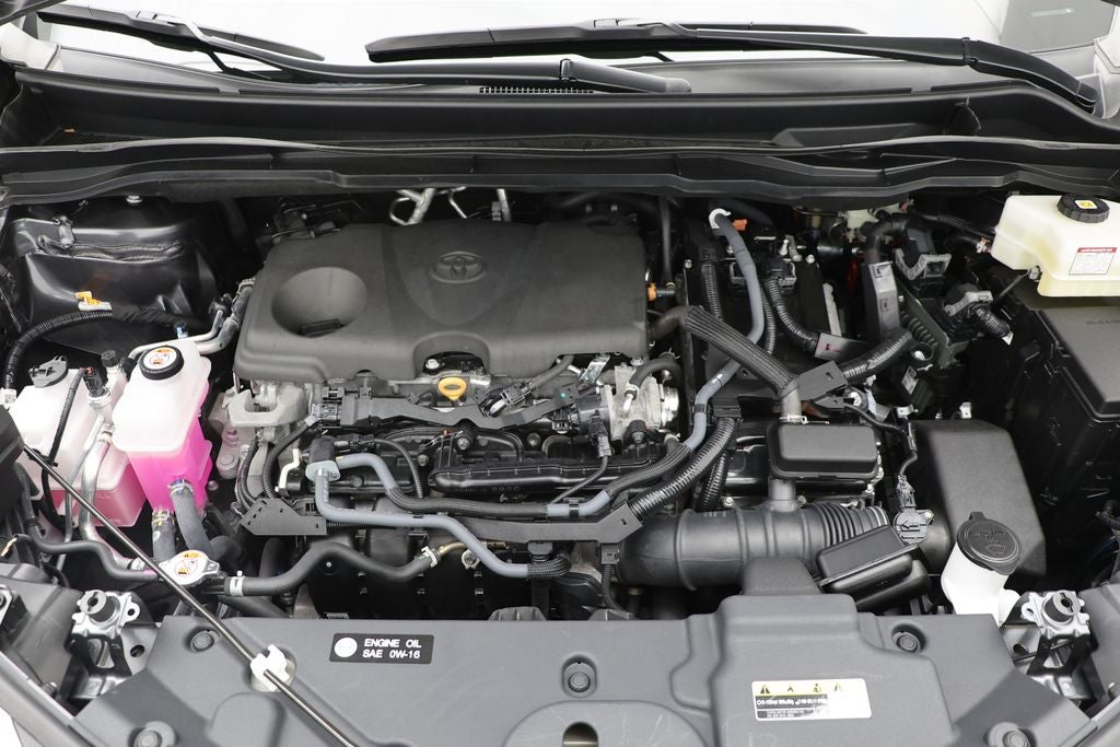 2025 Toyota Sienna XLE 8 Passenger