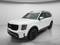 2024 Kia Telluride SX-Prestige X-Pro