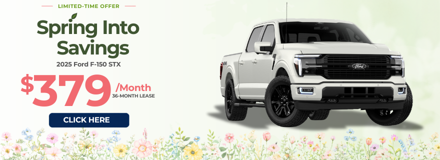 2025 Ford F-150 STX