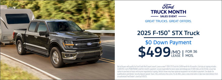 Ford F-150 STX Truck