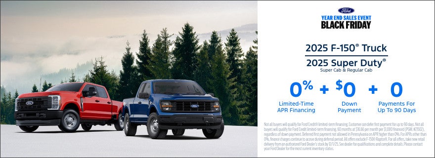 2025 FORD F150 TRUCK SUPER DUTY