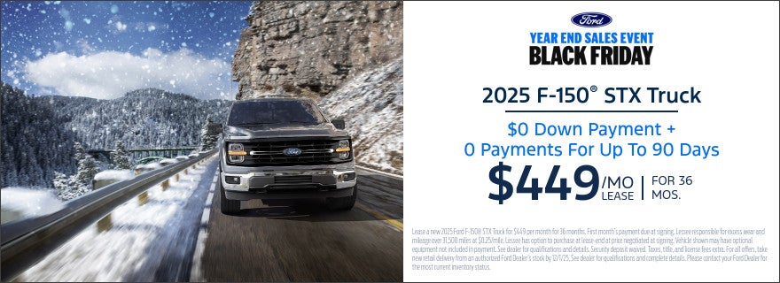 2025 FORD F150 STX