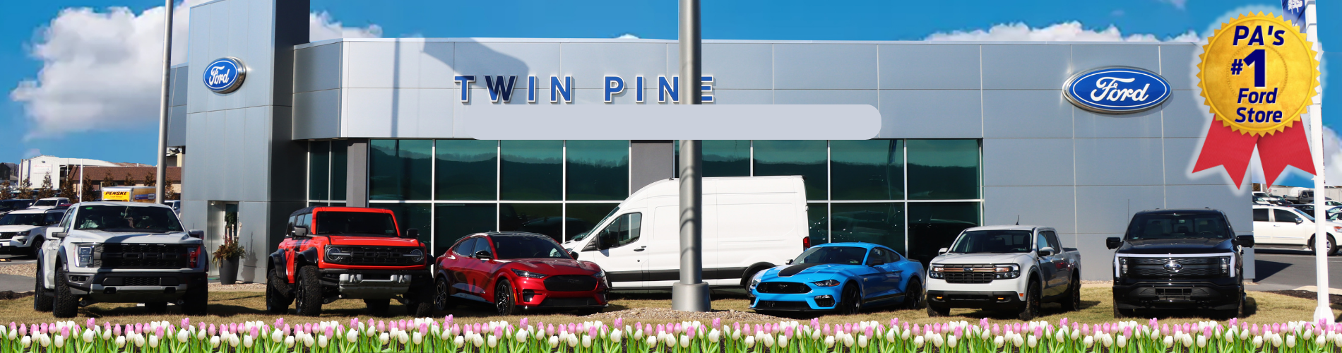 Twin Pine Ford Reviews
